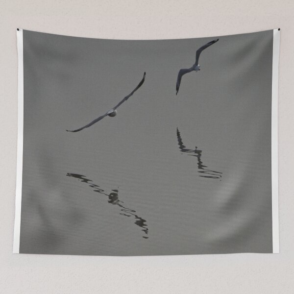 Item preview, Flight Study (1) designed and sold by Wolf Sverak Photography.