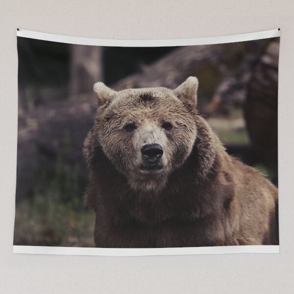 Item preview, Brown Bear designed and sold by hottehue.