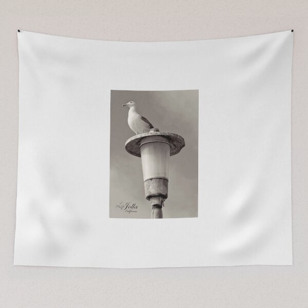Item preview, Seagull at La Jolla  designed and sold by Kgphotographics.