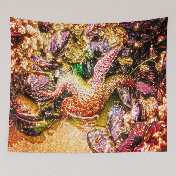 Item preview, Yachats Oregon - See A Star Today designed and sold by IMAGETAKERS.