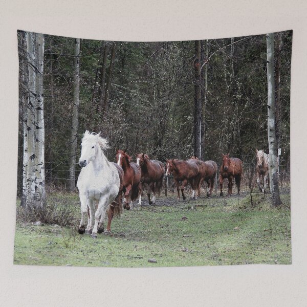 Item preview, "The Herd" Horses Coming Home designed and sold by NaturePrints.