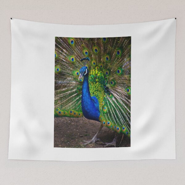 Item preview, Pumapungo Peacock designed and sold by alabca.