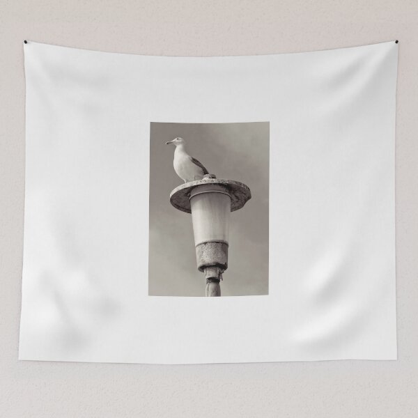 Item preview, La Jolla Beach Seagull III designed and sold by K D Graves Photography.