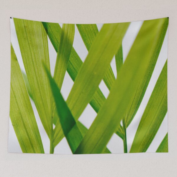 Item preview, Florida Palm designed and sold by umeimages.