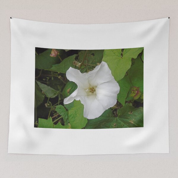 Item preview, Bell Flower, weed or wonder? designed and sold by TimHatcher.