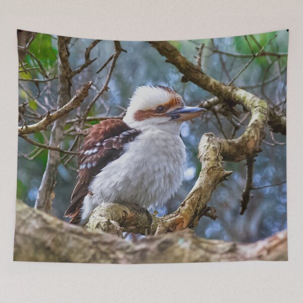 Item preview, Kookaburra  designed and sold by Christopher William  Eather.