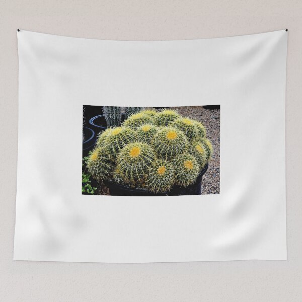 Item preview, A TUB OF BARREL CACTI designed and sold by JAYMILO.