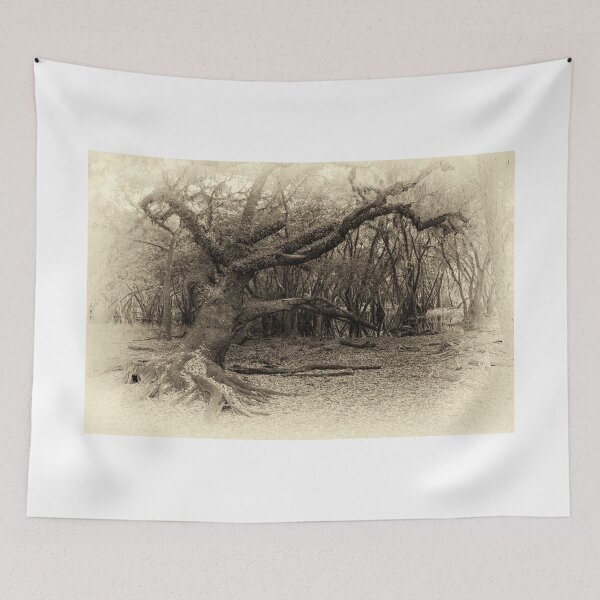 Item preview, Solitary Oak designed and sold by Joe Saladino.