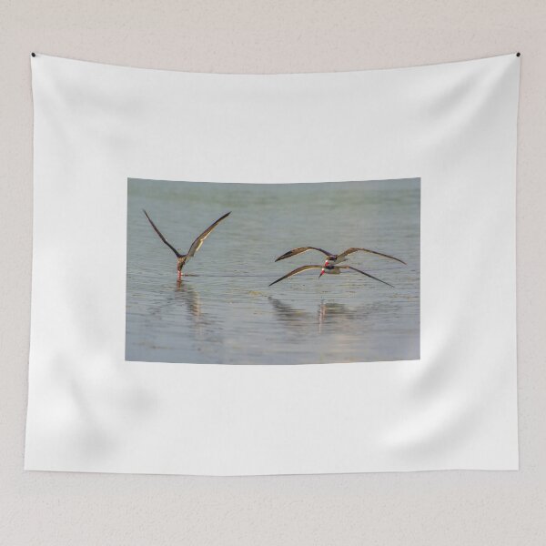 Item preview, Feeding Skimmers designed and sold by Joe Saladino.