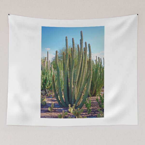 Item preview, Desert Study 9  designed and sold by Robert Meyers-Lussier.