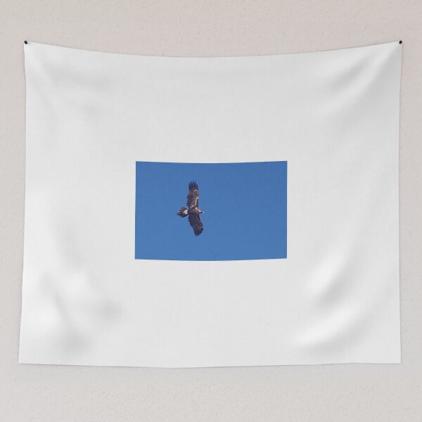 Item preview, Wedge Tail Eagle soaring above designed and sold by BigAndRed.