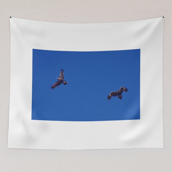 Item preview, Young Wedgetail Eagles designed and sold by BigAndRed.