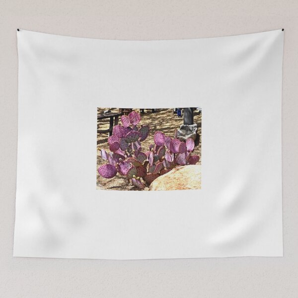Item preview, OPUNTIA CHISOSSENSIS CACTUS designed and sold by JAYMILO.