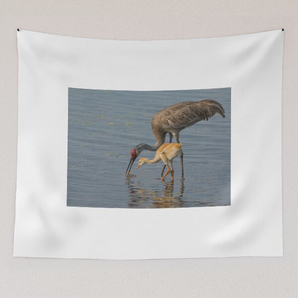 Item preview, Feeding Sandhill Cranes designed and sold by Joe Saladino.