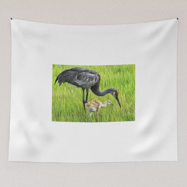 Item preview, Sandhill crane parent with chick designed and sold by Joe Saladino.