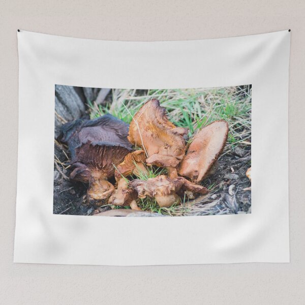 Item preview, 71416 shrooms designed and sold by pcfyi.