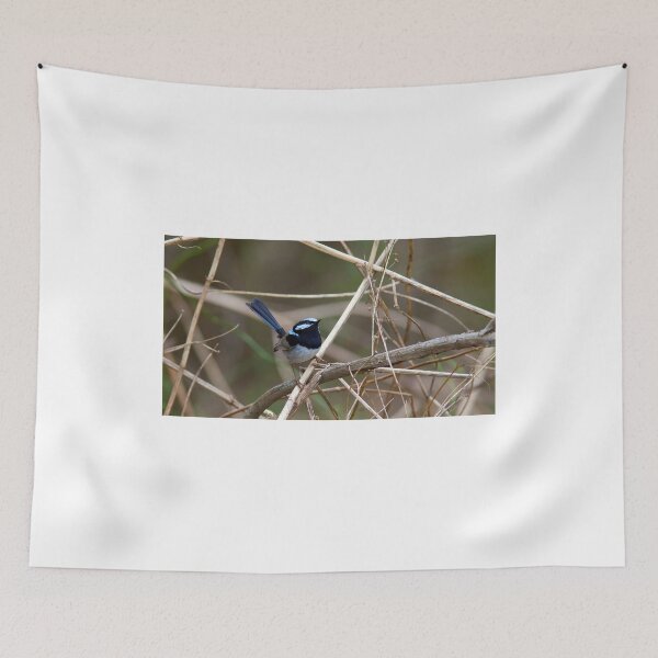 Item preview, Superb Blue Fairy Wren designed and sold by Peter Ford.