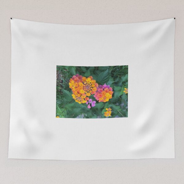 Item preview, Lantana camara cvs designed and sold by Red Wolf.