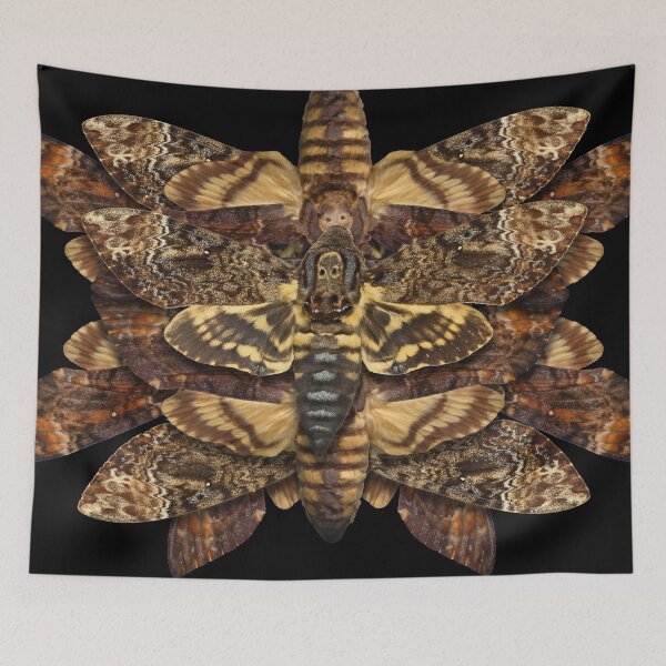 Item preview, Death's Head Moth Mandala - Asymmetrical designed and sold by jenithea.