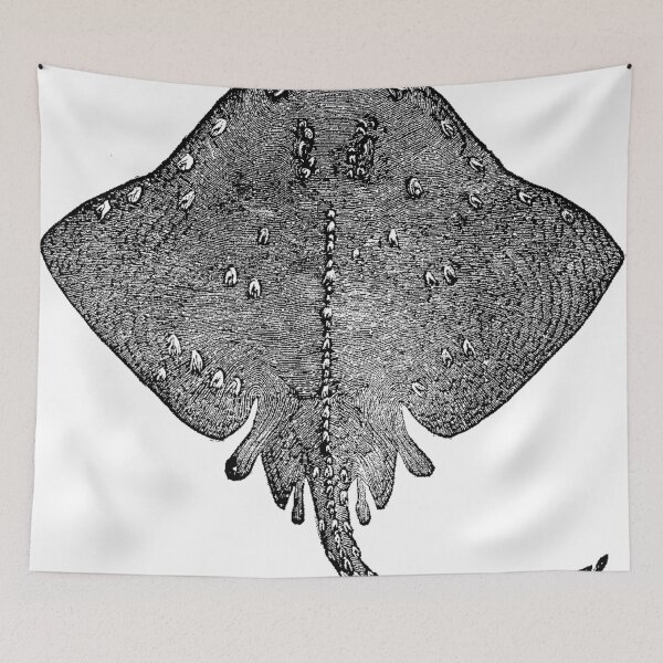 Item preview, Tattered Ray  designed and sold by Quill-n-Ink.