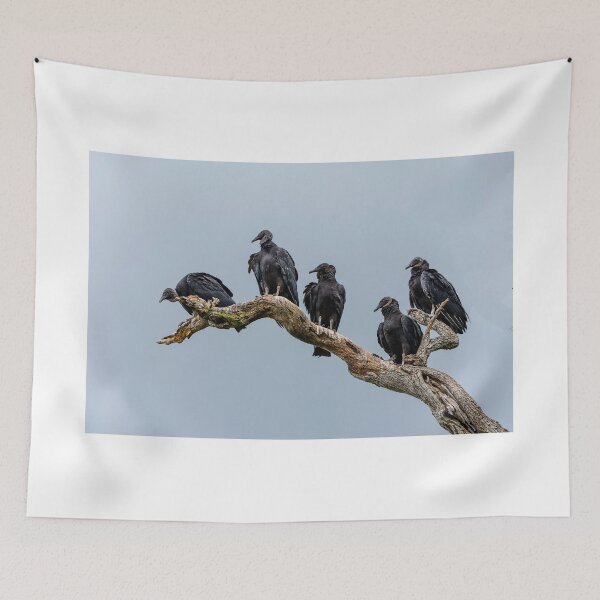 Item preview, Black Vultures designed and sold by Joe Saladino.