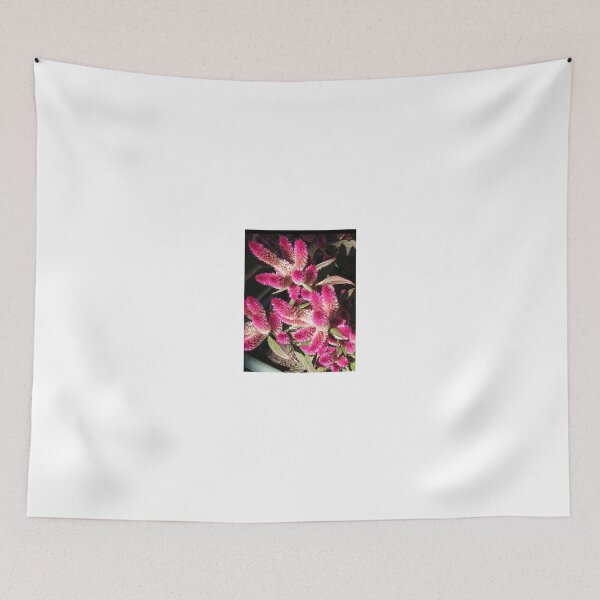 Item preview, Celosia designed and sold by Kathryn Jones.
