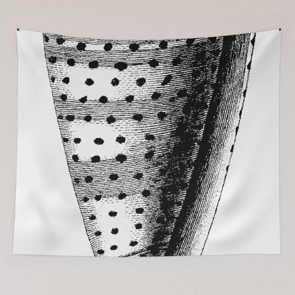 Item preview, Ya Shelling  designed and sold by Quill-n-Ink.