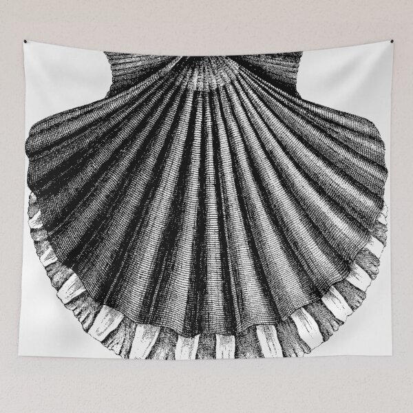 Item preview, Classic Shell Lines  designed and sold by Quill-n-Ink.