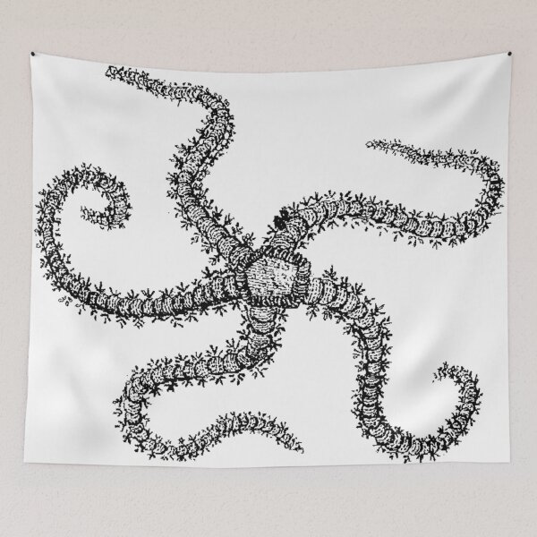 Item preview, Funky Monkey Starfish  designed and sold by Quill-n-Ink.