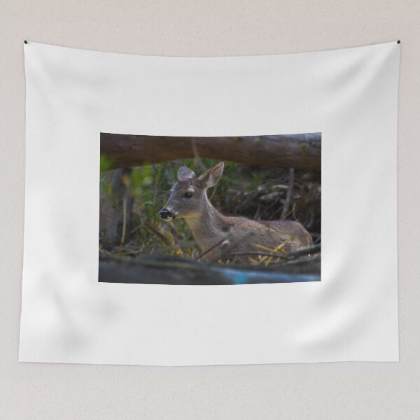 Item preview, Baby Deer At Amaru designed and sold by alabca.