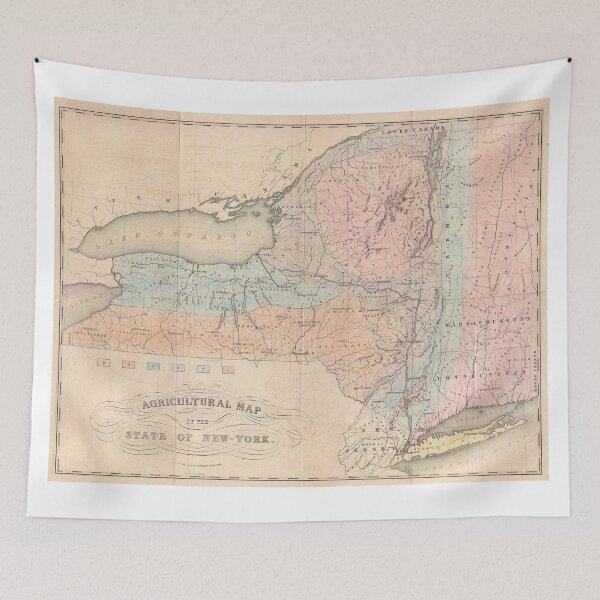 Item preview, Vintage Agricultural Map of New York (1846) designed and sold by BravuraMedia.