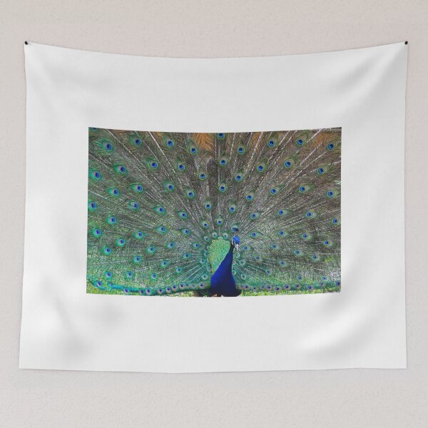 Item preview, Showy Peacock designed and sold by mahindle.
