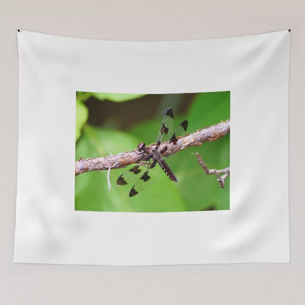 Item preview, Portrait of a Dragonfly  designed and sold by Lanis Rossi.
