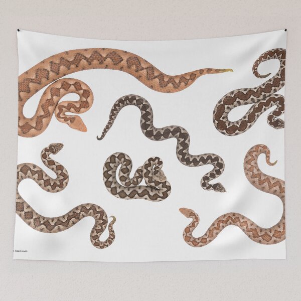 Item preview, Vipera ammodytes meridionalis designed and sold by Thor  Håkonsen.