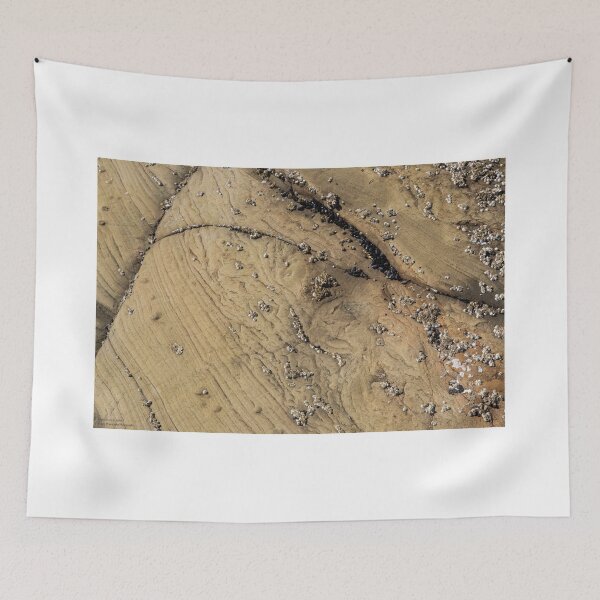 Item preview, A Whole Different World - 3 ©  designed and sold by © Hany G. Jadaa © Prince John Photography.