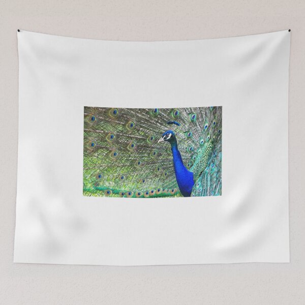 Item preview, Peacock Profile designed and sold by mahindle.