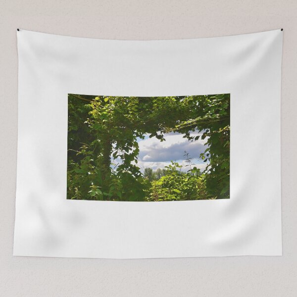 Item preview, A Natural Window...........Brimpton, Berkshire UK designed and sold by lynn carter.