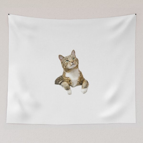 Item preview, mysterious cat designed and sold by navigatorsteel.