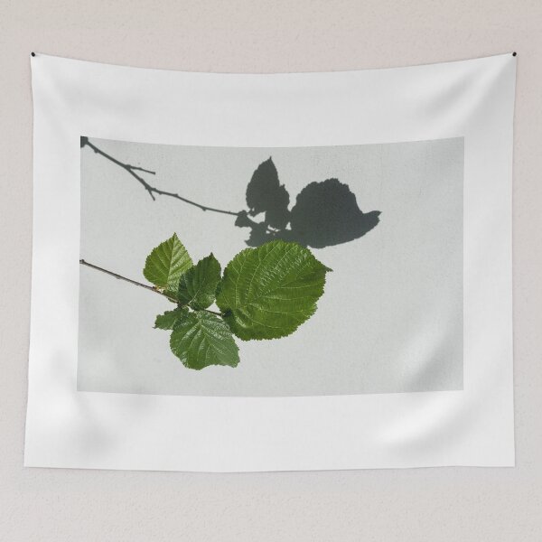 Item preview, Sophisticated Shadows - Glossy Hazelnut Leaves on White Stucco - Horizontal View Left Down designed and sold by Georgia Mizuleva.