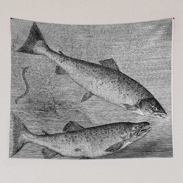 Item preview, Salmon Ella designed and sold by Quill-n-Ink.