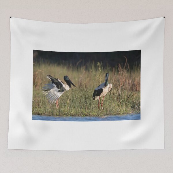 Item preview, Look At Me designed and sold by byronbackyard.