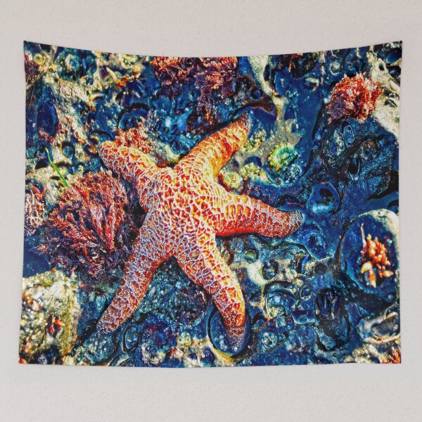 Item preview, Yachats Oregon - Sea Star designed and sold by IMAGETAKERS.