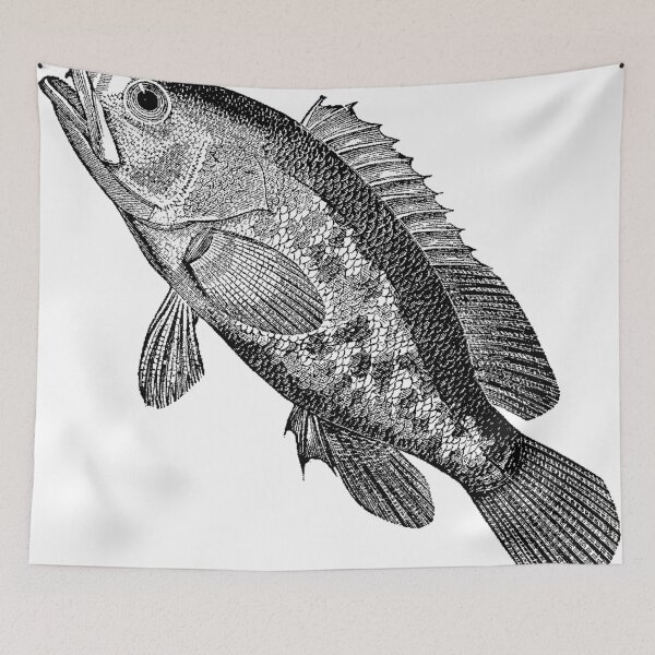 Item preview, Lone Fish McQuaid designed and sold by Quill-n-Ink.