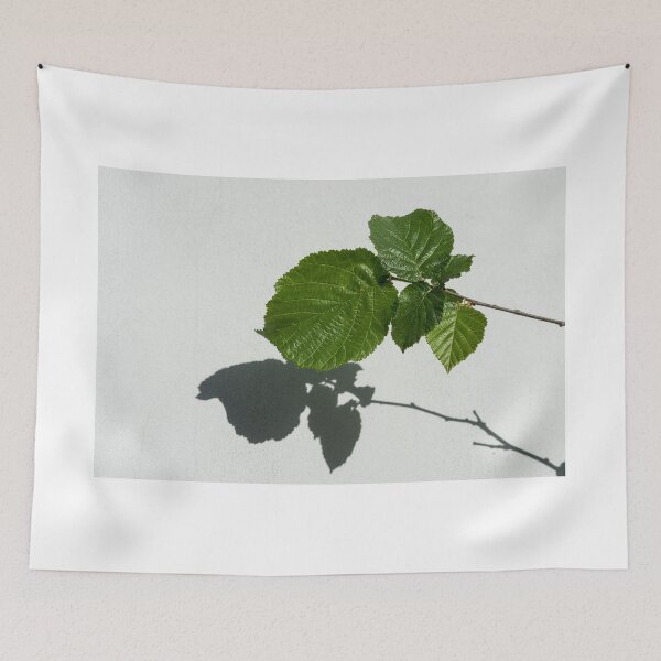 Item preview, Sophisticated Shadows - Glossy Hazelnut Leaves on White Stucco - Horizontal View Left Upwards designed and sold by Georgia Mizuleva.