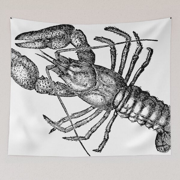 Item preview, Crayfish Lookalike  designed and sold by Quill-n-Ink.