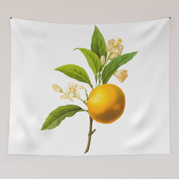 Item preview, Botanical Print, Orange by Redoute designed and sold by PixDezines.