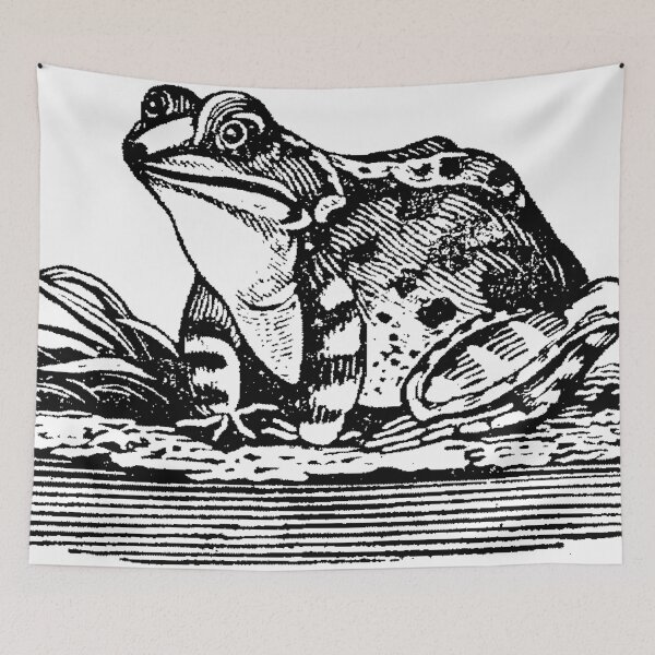 Item preview, Attentive Frog  designed and sold by Quill-n-Ink.