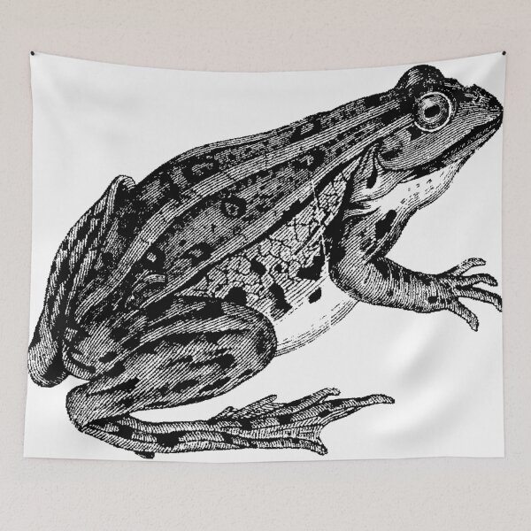 Item preview, Freedom Frog  designed and sold by Quill-n-Ink.