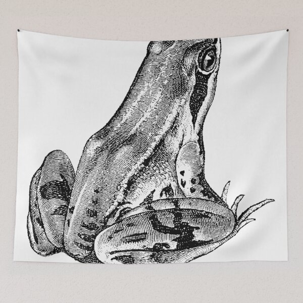 Item preview, Leopold Frogge designed and sold by Quill-n-Ink.