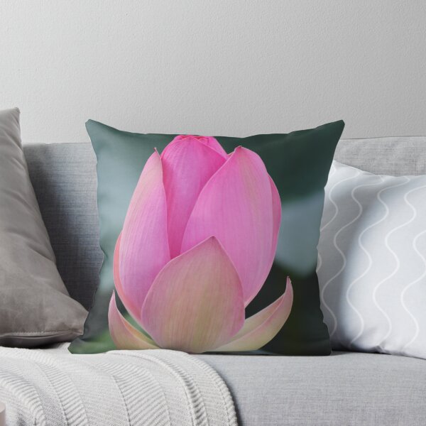 Item preview, Perfection designed and sold by Jenny Hall.